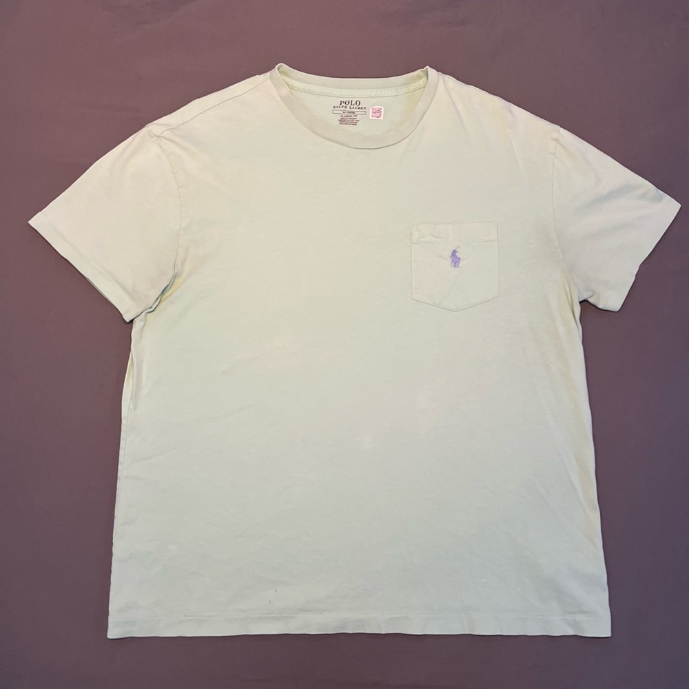 Polo Ralph Lauren Men's Light Green T-Shirt